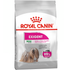 Royal Canin - Mini Exigent  Dry Dog Food 3 KG