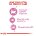 ROYAL CANIN - Feline Health Nutrition Mother and Babycat Dry Cat Food