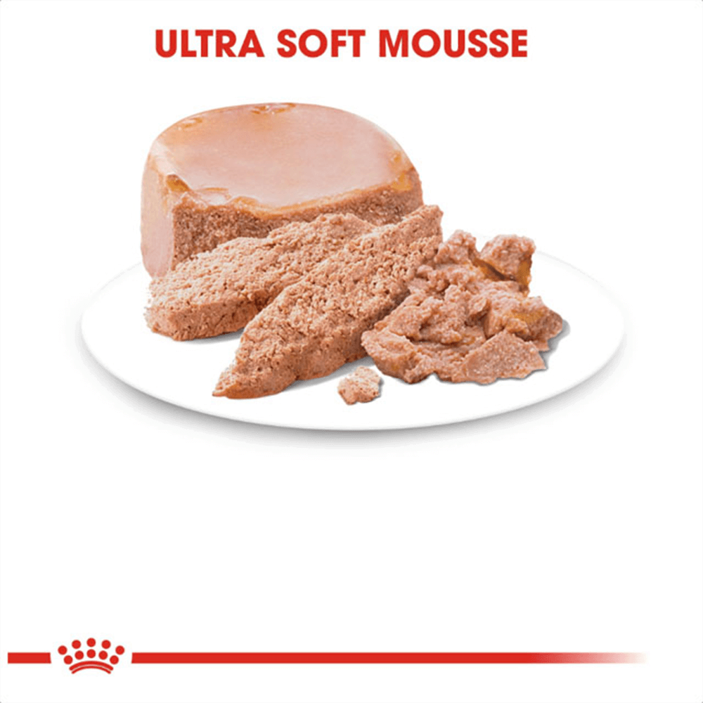 royal_canin_mother_babycat_instinctive_wet_cat_food