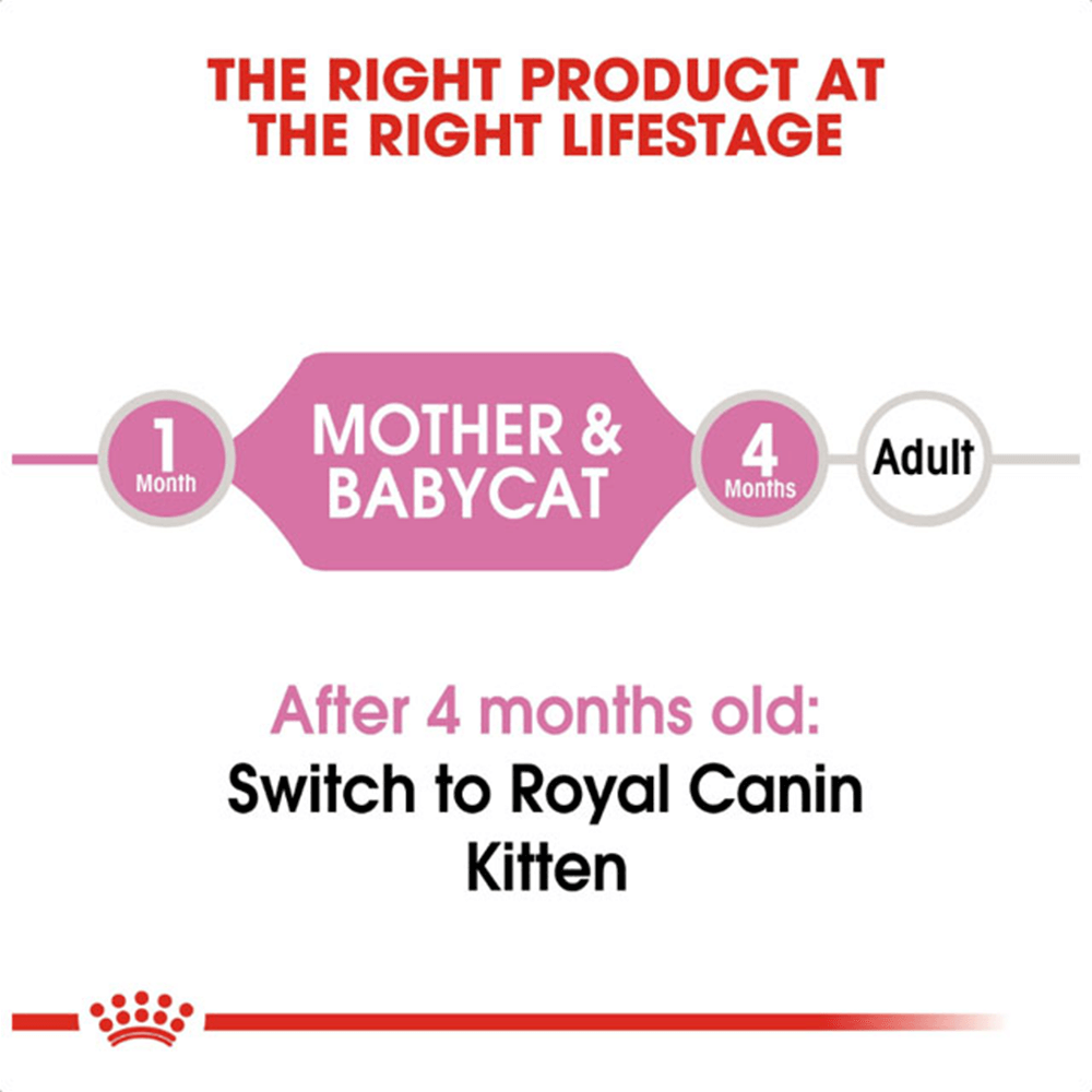 royal_canin_mother_babycat_instinctive_wet_cat_food
