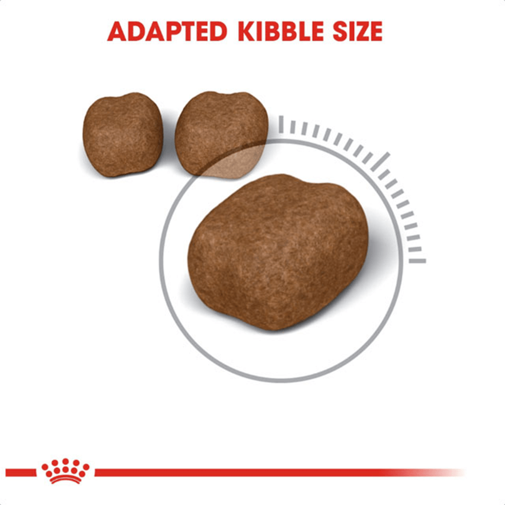 royal_canin_oral_care_dry_cat_food