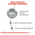 royal_canin_oral_care_dry_cat_food