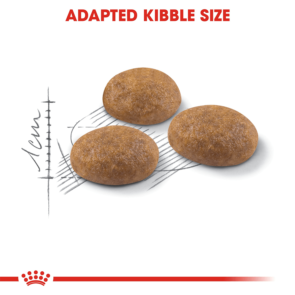 royal_canin_outdoor_dry_cat_food