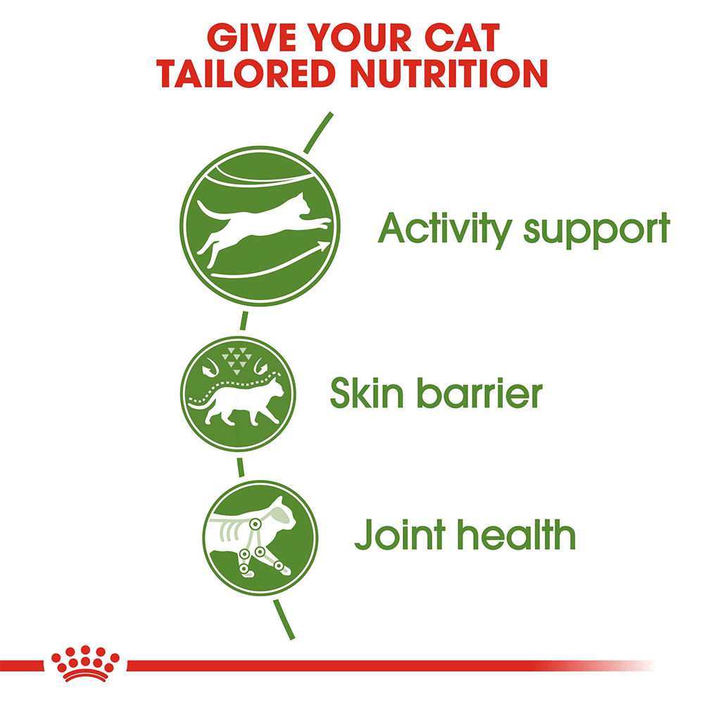 royal_canin_outdoor_dry_cat_food