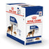 Royal Canin - MAXI ADULT (WET FOOD - POUCHES)
