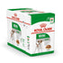 Royal Canin - Mini Adult (WET FOOD - POUCHES)